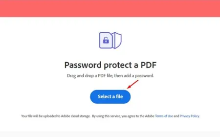 A web browser window displays a document encryption utility on Windows 11.