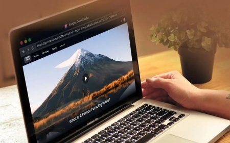 Offline Video Archiving: A Practical Guide to Local Streaming Libraries