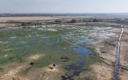 Data center facilities at the Quilicura wetland north of Santiago, Chile, operating amid severe regional drought.