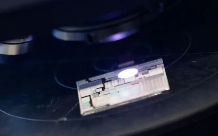 Human engineers oversee artificial intelligence systems verifying semiconductor chip designs.
