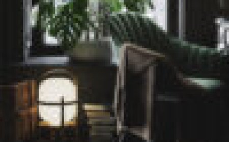 Maxon Cinebench 2024 GPU Rendering and Redshift Benchmarks