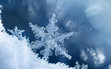 Snowflake invests six billion dollars in AWS Graviton processors and AI accelerators for cloud data warehousing.
