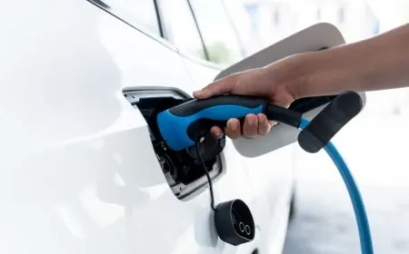 This chart displays real-world daily charging patterns for plug-in hybrid vehicles based on manufacturer telemetry data.