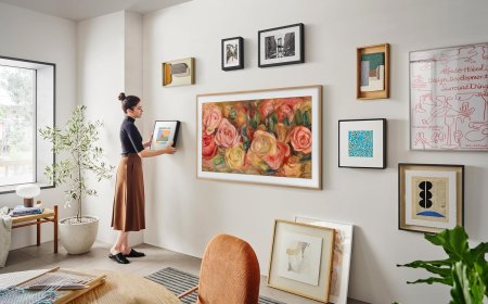 Side by side comparison of the Samsung Frame and Hisense CanvasTV smart displays with their frames attached.