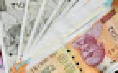 INDIAN RUPEE JUMPS AGAINS US DOLLORS