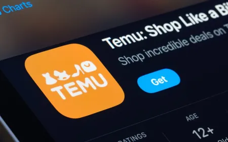Temu logo representing the company fined €200m by the EU.