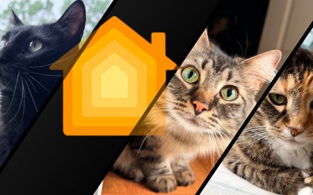 Owning an Apple Home: implementing smart pet solutions