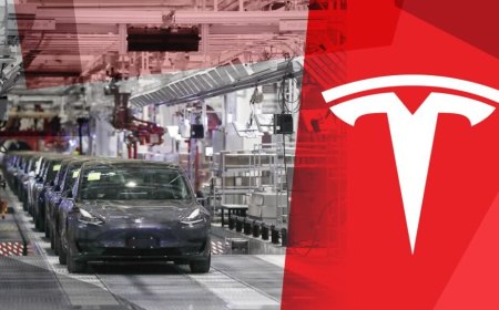 Tesla Recalls 14,500 Model Ys Over Missing Safety Label