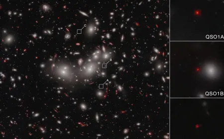 The Webb telescope reveals a 50 million solar mass black hole that formed before its host galaxy.