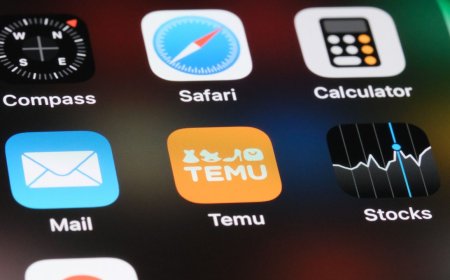 EU hits Temu with $232 million fine over sale of illegal products