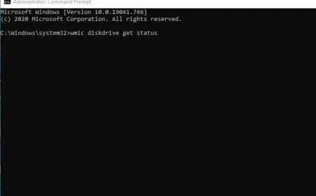 The screen displays storage drive health status and temperature metrics for Windows 11.