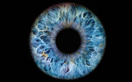 A row of biometric scanners captures fingerprint and facial data for federal surveillance.