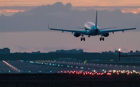 Silhouette of AI professional holding passport