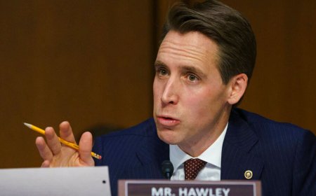 Examining Big Tech Regulation and Political Alignment