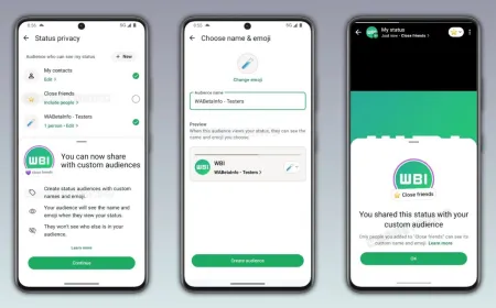 WhatsApp status visibility lists feature allowing users to select custom contact groups for viewing updates on iOS and And...
