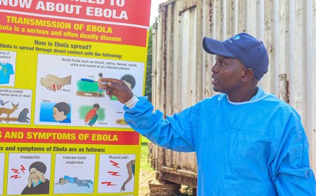 Kenyan court blocks Trump admin from dumping Ebola-exposed Americans there