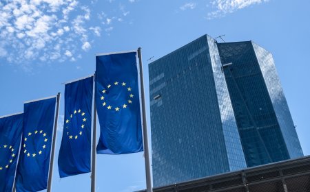 Financial technology departments adopt artificial intelligence safeguards following European Central Bank guidance.