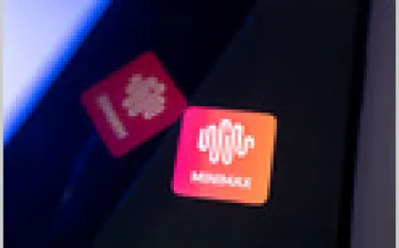 Shanghai AI firm MiniMax prepares for a domestic Chinese IPO following a Hong Kong listing and $300 million revenue.