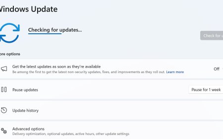 Microsoft Updates Windows 11 GPU Driver Downgrade Policy