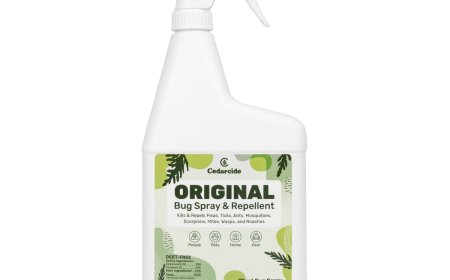 Tick Spray?