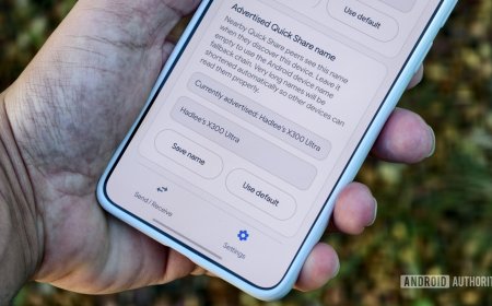 The Bada application interface displays local file sharing options on an Android device.