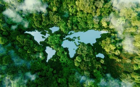 ZTE releases Sustainability Report 2025: driving a new chapter in sustainable development through AI