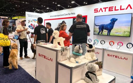 More than a tracker, SATELLAI seeks to redefine smart pet care