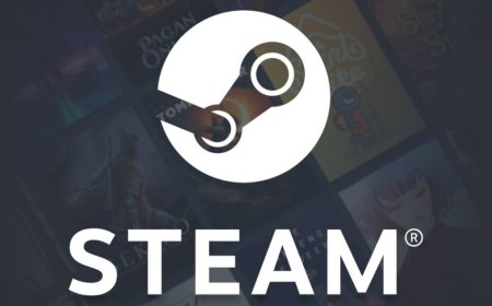 Steam Germany: Valve blocks around 900 games including Borderlands titles
