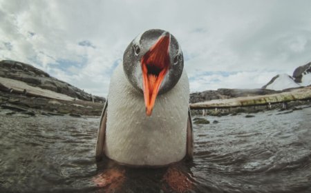 Linux kernel flaw opens root-only files to unprivileged users