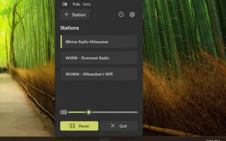 Trdo application window displaying the station list, playback controls, and Fluent Design interface.