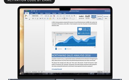 The Case for a $30 Perpetual Office License on Mac