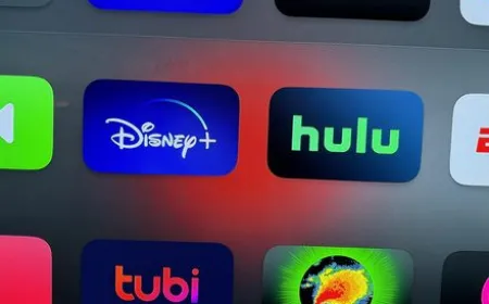 Disney+ interface displaying integrated Hulu content and Project Gemini infrastructure