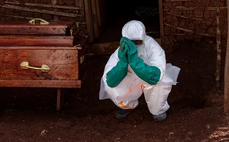 Researchers analyzing disease surveillance data during an Ebola outbreak in Central Africa