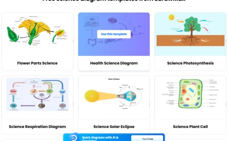 Best Ways To Create Science Diagrams In 2026
