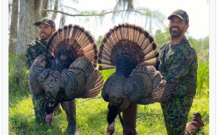 New Acting FDA Commissioner: Some Florida Lawyer That Shoots Animals With Don Jr.