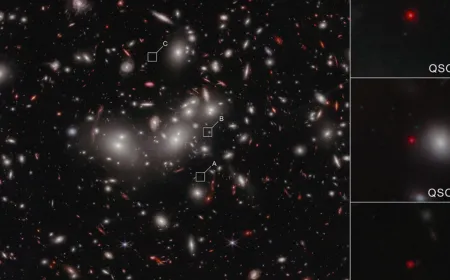 Gravitational lensing magnifies a distant little red dot confirmed as a naked supermassive black hole.