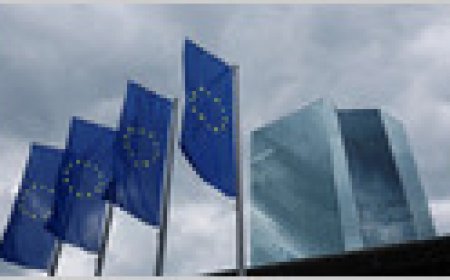 European Central Bank officials meet Eurozone banks to discuss artificial intelligence risks and share US banking insights.