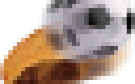 A daily puzzle compares two stadium food items to explore visual rating trends and digital gamification.
