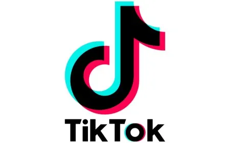 The screen displays TikTok account settings with options to switch between business and personal profiles.