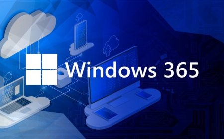 Windows 365 Office Installation Disrupted After Update