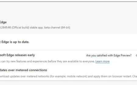 Microsoft Edge browser settings screen showing network connection troubleshooting options