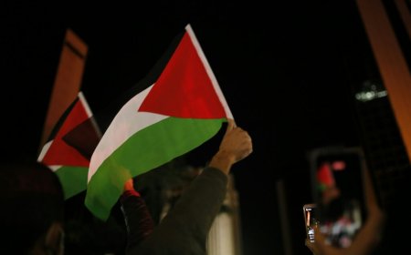 European Diplomatic Response to Gaza Flotilla Detentions