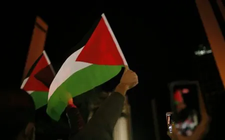 European diplomatic officials addressing Gaza flotilla detentions and humanitarian aid protocols