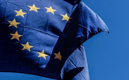 Apple and Google Challenge EU Android AI Access Mandates