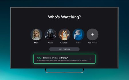 Disney+ Profile Linking Transforms Hulu Viewer Experience