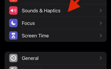 iPhone settings screen displaying ringer volume slider and focus mode toggles