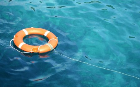 PostgreSQL backup tool gets some backup of its own after sole maintainer sounds alarm
