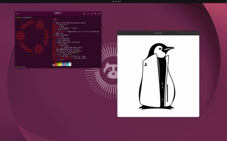 Linux on PlayStation 5: Expanding the Homebrew Frontier