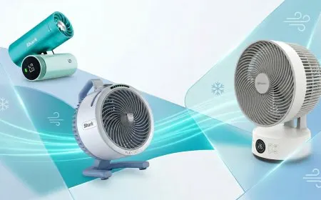 Budget electric fan models shown include the Shark FlexBreeze HydroGo, Shark ChillPill, and Meaco Sefte Pro.