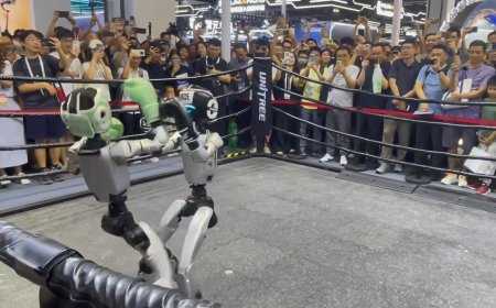 Unitree named robot partner for 2026 Spring Festival Gala